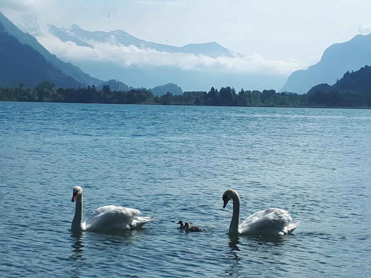 Berner Oberland Am Thunersee Därligen Exterior photo